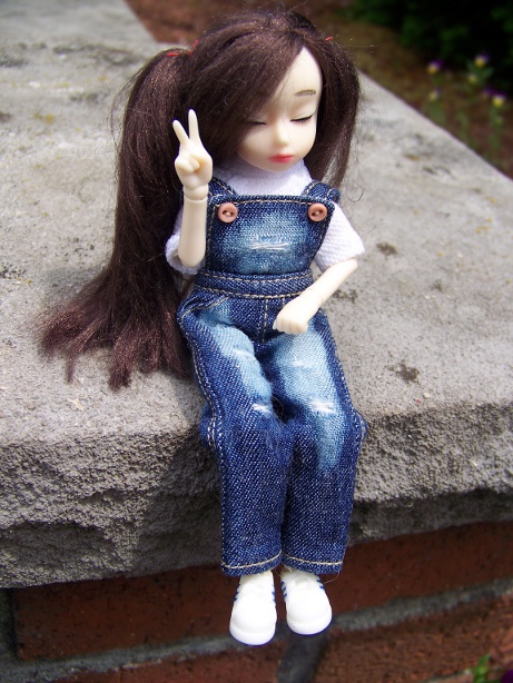 http://www.oddpla.net/blog/dolls/dorothy/jju/100_5586.JPG