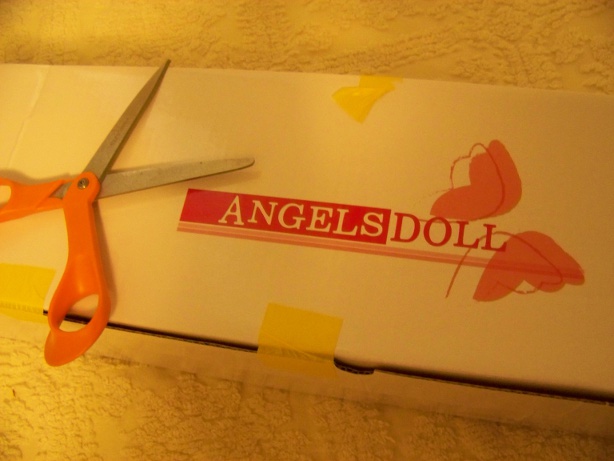 http://www.oddpla.net/blog/dolls/lolapaprika/box/100_5591.JPG