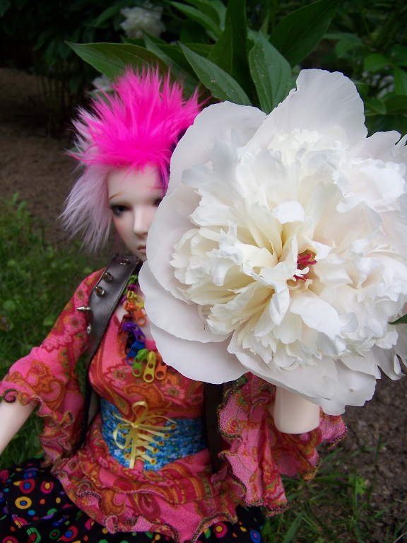 http://www.oddpla.net/blog/dolls/lolapaprika/peony/100_5670.JPG