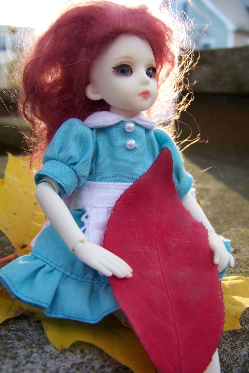 http://www.oddpla.net/blog/dolls/pl/100_4691.JPG